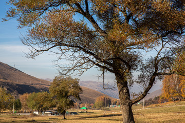 Allphotokz Ile-Alatau Park 20141011 9208 5DM3