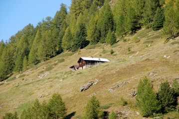 Einsame Holzhütte in den Alpen 