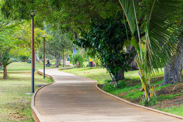 Obraz premium chemin dans le parc
