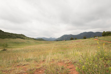 Colorado - field