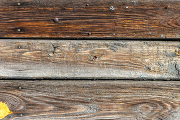 Fototapeta premium The old wood texture with natural patterns