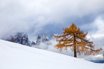 Beautiful Winter at Alpe di Siusi, Seiser Alm - Italy - Holiday background for Christmas.