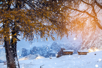 Beautiful Winter at Alpe di Siusi, Seiser Alm - Italy - Holiday background for Christmas.