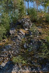The picturesque landscape of the mountain natural park. You can see the rocks and their fragments, coniferous forest, mountains, wildlife. Russia, Karelia.Land landscape mountain park