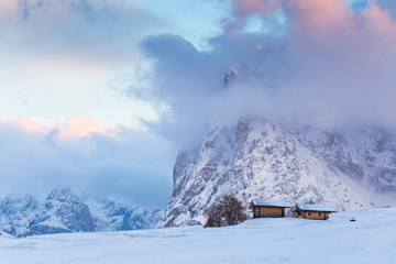 Beautiful Winter at Alpe di Siusi, Seiser Alm - Italy - Holiday background for Christmas.