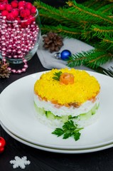 Salad with salted salmon (red fish), fresh cucumbers, rice and eggs on a white plate for Christmas and New Year  on a dark background.