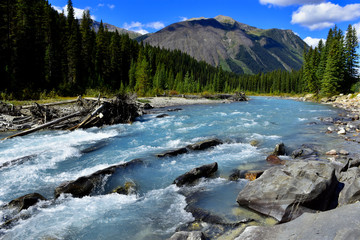 Fototapeta na wymiar The Bow river meandering by mountains and forests through the bow valley in Banff national park, Alberta, Canada.