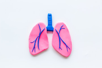 Lung health and diseases. Organ on white background top view copy space