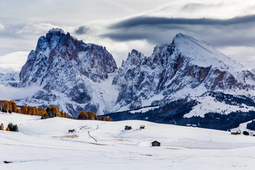 Fototapeta na wymiar Beautiful Winter at Alpe di Siusi, Seiser Alm - Italy - Holiday background for Christmas.