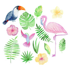 Tropical seamless arrangement