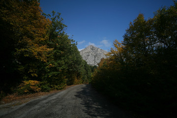 Obraz premium Road among the autumn forest in the Crimean mountains, Russia.