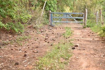 estrada de terra com portão de madeira