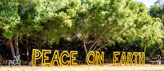 Peace on Earth Sign in a public park - 296159456