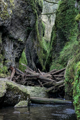 Oneonta Gorge in Oregon