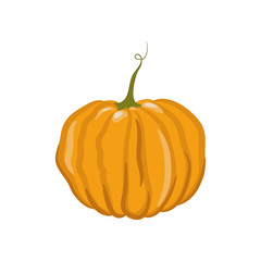 Vector pumpkin isolated on a white background. The symbol of Halloween. A simple autumn icon.