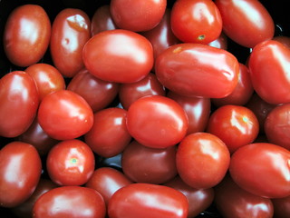 baby plum tomatoes