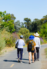 Family walking on a nature trail - 296163846