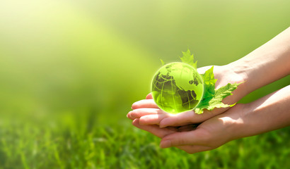Earth crystal glass globe ball and maple leaf in human hand on grass background. Saving...