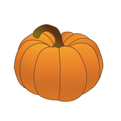 Illustration. Pumpkin on a white background