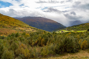 View of the autumn mountains covered with colorful trees.