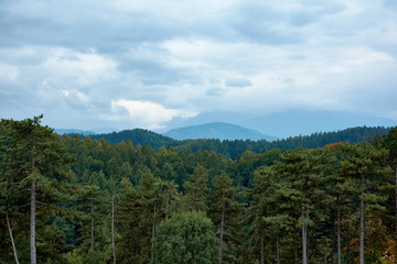 Fototapeta premium Mountain landscape overlooking the spruce forest and sky with clouds. Autumn landscape on a cloudy day.