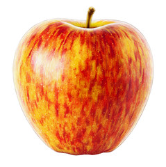 Highly detailed high quality realistic Apple illustration