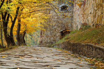 Alley of autumn trees near the wall of the ancient castle. Terebovlya, castle, Ternopil region, Ukraine