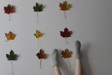 Women wearing grey knitted cozy socks in different position on the white background with red green yellow maple leaves on it in three rows of three