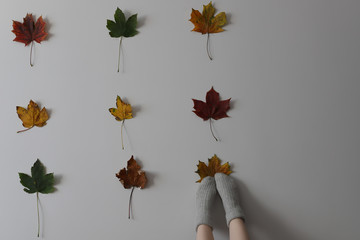 Women wearing grey knitted cozy socks in different position on the white background with red green yellow maple leaves on it in three rows of three