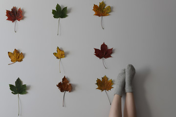 Women wearing grey knitted cozy socks in different position on the white background with red green yellow maple leaves on it in three rows of three