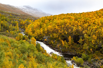 View of the autumn mountains covered with colorful trees.