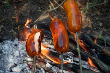 Sausages on homemade wooden skewers are fried on a fire during a picnic