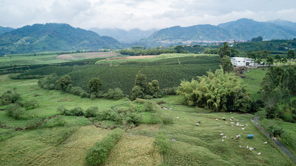 Paisaje Caldense, Chinchina Caldas Colombia, vista aerea del município