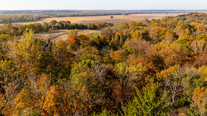 autumn landscape with trees and farm fields from above