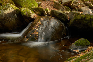 Cae el otoño en el arroyo del Sestil del Maíllo en el Parque Nacional de Guadarrama. Comunidad de...