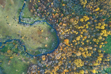 Aerial view with a drone. Winding river with autumn forest, top view