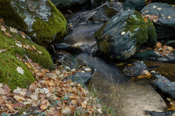 Cae el oto&ntilde;o en el arroyo del Sestil del Ma&iacute;llo en el Parque Nacional de Guadarrama. Comunidad de Madrid. Espa&ntilde;a