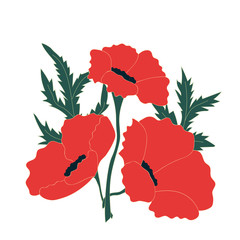 Bright flowers poppies. Birthdays and summer background