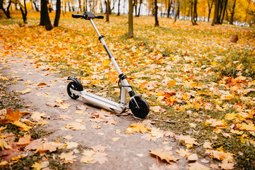 electric scooter in the autumn park in the fall.