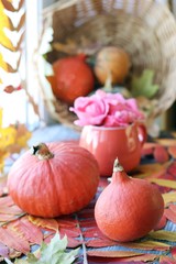 Autumn composition of pumpkins, fresh roses in a cup, leaves on a windowsill, Thanksgiving, Halloween, romantic greetings