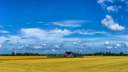 Fototapeta na wymiar Farm in the middle in Noordwelle (NL)⠀