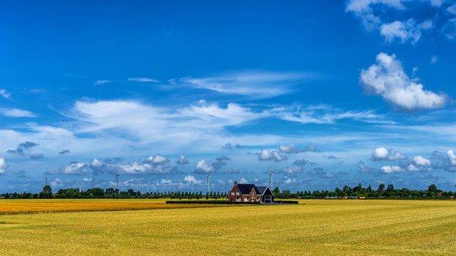 Farm in the middle in Noordwelle (NL)⠀