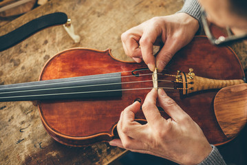 Luthier repair violin in his workshop - obrazy, fototapety, plakaty