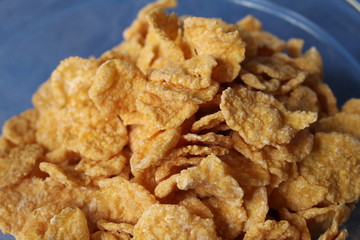 cornflakes in a plate on a blue background