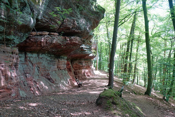 Sandsteinfelsen bei Lemberg im Pfälzer Wald