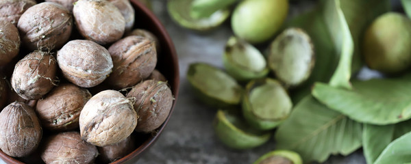 Walnuts. Harvest walnuts. Selective focus. Macro.