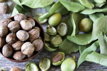 Walnuts. Harvest walnuts. Selective focus. Macro.
