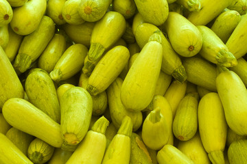 Pile of white zucchinis 