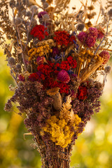 Colorful mixed dried flower bouquet