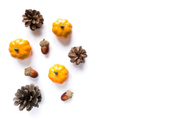 Halloween and harvest concept. Isolated autumn background: pumpkins, acorns and pine cones on a white background with copy space